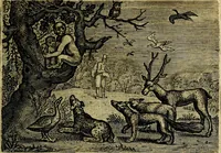 Picture 66 of 80 from Emblemata Florentii Schoonhovii ... partim moralia partim etiam civilia. Cum latiori eorundem ejusdem Auctoris interpretatione. Accedunt et alia quaedam poëmatia in alijs poem̈atum suonum libris non contenta (1648), leaf 196