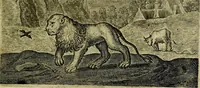 An illustration from Emblemata Florentii Schoonhovii ... partim moralia partim etiam civilia. Cum latiori eorundem ejusdem Auctoris interpretatione. Accedunt et alia quaedam poëmatia in alijs poem̈atum suonum libris non contenta (1648)