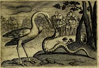 Picture 30 of 80 from Emblemata Florentii Schoonhovii ... partim moralia partim etiam civilia. Cum latiori eorundem ejusdem Auctoris interpretatione. Accedunt et alia quaedam poëmatia in alijs poem̈atum suonum libris non contenta (1648), leaf 92