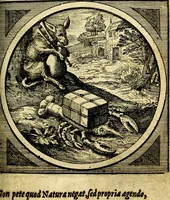 Picture 33 of 80 from Emblemata moralia nova, das ist: achtzig Sinnreiche nachdenckliche Figuren auss heyliger Schrifft in Kupfferstücken fürgestellet, worinnen schöne Anweisungen zu wahrer Gottesforcht begrieffen ... mit Lateinischen und Teutschen, nachmals aber von M.C.R. mit Frantzösischen und Italianischen Versen erkläret .. (1630), leaf 150