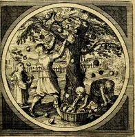 Picture 62 of 80 from Emblemata moralia nova, das ist: achtzig Sinnreiche nachdenckliche Figuren auss heyliger Schrifft in Kupfferstücken fürgestellet, worinnen schöne Anweisungen zu wahrer Gottesforcht begrieffen ... mit Lateinischen und Teutschen, nachmals aber von M.C.R. mit Frantzösischen und Italianischen Versen erkläret .. (1630), leaf 270