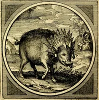 Picture 66 of 80 from Emblemata moralia nova, das ist: achtzig Sinnreiche nachdenckliche Figuren auss heyliger Schrifft in Kupfferstücken fürgestellet, worinnen schöne Anweisungen zu wahrer Gottesforcht begrieffen ... mit Lateinischen und Teutschen, nachmals aber von M.C.R. mit Frantzösischen und Italianischen Versen erkläret .. (1630), leaf 286