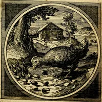 Picture 11 of 80 from Emblemata moralia nova, das ist: achtzig Sinnreiche nachdenckliche Figuren auss heyliger Schrifft in Kupfferstücken fürgestellet, worinnen schöne Anweisungen zu wahrer Gottesforcht begrieffen ... mit Lateinischen und Teutschen, nachmals aber von M.C.R. mit Frantzösischen und Italianischen Versen erkläret .. (1630), leaf 58