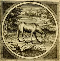An illustration from Emblemata moralia nova, das ist: achtzig Sinnreiche nachdenckliche Figuren auss heyliger Schrifft in Kupfferstücken fürgestellet, worinnen schöne Anweisungen zu wahrer Gottesforcht begrieffen ... mit Lateinischen und Teutschen, nachmals aber von M.C.R. mit Frantzösischen und Italianischen Versen erkläret .. (1630)