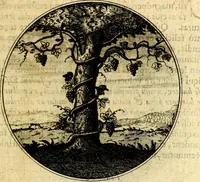 An illustration from Emblemata moralia (1697)