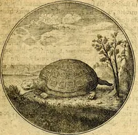 An illustration from Emblemata moralia (1697)