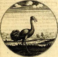 An illustration from Emblemata moralia (1697)