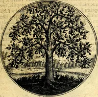 An illustration from Emblemata moralia (1697)