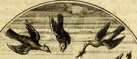 An illustration from Emblemata moralia (1697)