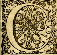 An illustration from Emblemata moralia (1697)