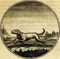 An illustration from Emblemata moralia (1697)