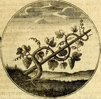 An illustration from Emblemata moralia (1697)