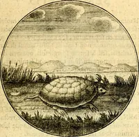 An illustration from Emblemata moralia (1697)