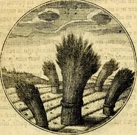 An illustration from Emblemata moralia (1697)