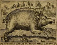 An illustration from Emblemata nobilitati et vulgo scitu digna : singulis historijs symbola adscripta & elegantes versus historiam explica[n]tes : accessit galearu[m] expositio, & disceptatio de origine nobilitatis (1592)