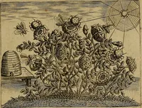 An illustration from Emblemata nobilitati et vulgo scitu digna : singulis historijs symbola adscripta & elegantes versus historiam explica[n]tes : accessit galearu[m] expositio, & disceptatio de origine nobilitatis (1592)