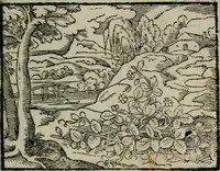 An illustration from Emblemata physico-ethica, hoc est, Naturae morum moderatricis picta praecepta : à Nicolao Taurello Montbelgardensi ... observata, & vario conscripta carmine (1602)