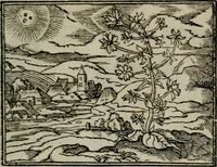 An illustration from Emblemata physico-ethica, hoc est, Naturae morum moderatricis picta praecepta : à Nicolao Taurello Montbelgardensi ... observata, & vario conscripta carmine (1602)