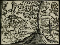 An illustration from Emblemata physico-ethica, hoc est, Naturae morum moderatricis picta praecepta : à Nicolao Taurello Montbelgardensi ... observata, & vario conscripta carmine (1602)