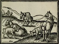 An illustration from Emblemata physico-ethica, hoc est, Naturae morum moderatricis picta praecepta : à Nicolao Taurello Montbelgardensi ... observata, & vario conscripta carmine (1602)