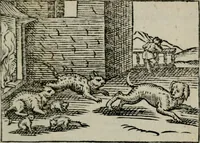 An illustration from Emblemata physico-ethica, hoc est, Naturae morum moderatricis picta praecepta : à Nicolao Taurello Montbelgardensi ... observata, & vario conscripta carmine (1602)