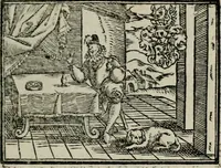 An illustration from Emblemata physico-ethica, hoc est, Naturae morum moderatricis picta praecepta : à Nicolao Taurello Montbelgardensi ... observata, & vario conscripta carmine (1602)