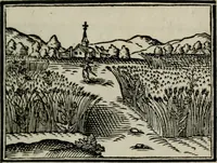 An illustration from Emblemata physico-ethica, hoc est, Naturae morum moderatricis picta praecepta : à Nicolao Taurello Montbelgardensi ... observata, & vario conscripta carmine (1602)