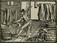 An illustration from Emblemata physico-ethica, hoc est, Naturae morum moderatricis picta praecepta : à Nicolao Taurello Montbelgardensi ... observata, & vario conscripta carmine (1602)