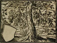 An illustration from Emblemata physico-ethica, hoc est, Naturae morum moderatricis picta praecepta : à Nicolao Taurello Montbelgardensi ... observata, & vario conscripta carmine (1602)