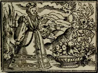 An illustration from Emblemata physico-ethica, hoc est, Naturae morum moderatricis picta praecepta : à Nicolao Taurello Montbelgardensi ... observata, & vario conscripta carmine (1602)