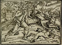 An illustration from Emblemata physico-ethica, hoc est, Naturae morum moderatricis picta praecepta : à Nicolao Taurello Montbelgardensi ... observata, & vario conscripta carmine (1602)