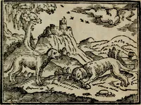 An illustration from Emblemata physico-ethica, hoc est, Naturae morum moderatricis picta praecepta : à Nicolao Taurello Montbelgardensi ... observata, & vario conscripta carmine (1602)