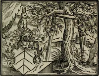 An illustration from Emblemata physico-ethica, hoc est, Naturae morum moderatricis picta praecepta : à Nicolao Taurello Montbelgardensi ... observata, & vario conscripta carmine (1602)