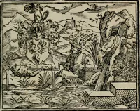 An illustration from Emblemata physico-ethica, hoc est, Naturae morum moderatricis picta praecepta : à Nicolao Taurello Montbelgardensi ... observata, & vario conscripta carmine (1602)