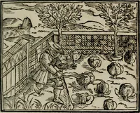 An illustration from Emblemata physico-ethica, hoc est, Naturae morum moderatricis picta praecepta : à Nicolao Taurello Montbelgardensi ... observata, & vario conscripta carmine (1602)