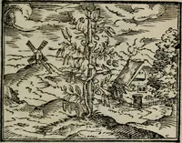 An illustration from Emblemata physico-ethica, hoc est, Naturae morum moderatricis picta praecepta : à Nicolao Taurello Montbelgardensi ... observata, & vario conscripta carmine (1602)