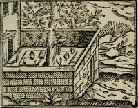 An illustration from Emblemata physico-ethica, hoc est, Naturae morum moderatricis picta praecepta : à Nicolao Taurello Montbelgardensi ... observata, & vario conscripta carmine (1602)
