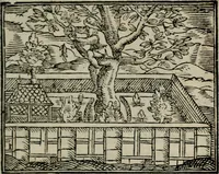 An illustration from Emblemata physico-ethica, hoc est, Naturae morum moderatricis picta praecepta : à Nicolao Taurello Montbelgardensi ... observata, & vario conscripta carmine (1602)