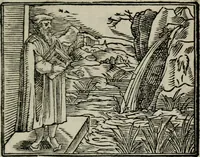 An illustration from Emblemata physico-ethica, hoc est, Naturae morum moderatricis picta praecepta : à Nicolao Taurello Montbelgardensi ... observata, & vario conscripta carmine (1602)
