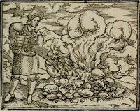 An illustration from Emblemata physico-ethica, hoc est, Naturae morum moderatricis picta praecepta : à Nicolao Taurello Montbelgardensi ... observata, & vario conscripta carmine (1602)