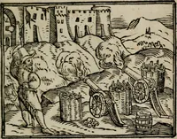 An illustration from Emblemata physico-ethica, hoc est, Naturae morum moderatricis picta praecepta : à Nicolao Taurello Montbelgardensi ... observata, & vario conscripta carmine (1602)