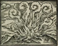 An illustration from Emblemata physico-ethica, hoc est, Naturae morum moderatricis picta praecepta : à Nicolao Taurello Montbelgardensi ... observata, & vario conscripta carmine (1602)