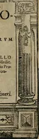 An illustration from Emblemata physico-ethica, hoc est, Naturae morum moderatricis picta praecepta : à Nicolao Taurello Montbelgardensi ... observata, & vario conscripta carmine (1602)