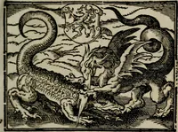 An illustration from Emblemata physico-ethica, hoc est, Naturae morum moderatricis picta praecepta : à Nicolao Taurello Montbelgardensi ... observata, & vario conscripta carmine (1602)