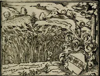 An illustration from Emblemata physico-ethica, hoc est, Naturae morum moderatricis picta praecepta : à Nicolao Taurello Montbelgardensi ... observata, & vario conscripta carmine (1602)