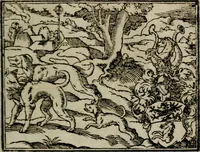 An illustration from Emblemata physico-ethica, hoc est, Naturae morum moderatricis picta praecepta : à Nicolao Taurello Montbelgardensi ... observata, & vario conscripta carmine (1602)