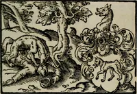 An illustration from Emblemata physico-ethica, hoc est, Naturae morum moderatricis picta praecepta : à Nicolao Taurello Montbelgardensi ... observata, & vario conscripta carmine (1602)