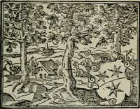 An illustration from Emblemata physico-ethica, hoc est, Naturae morum moderatricis picta praecepta : à Nicolao Taurello Montbelgardensi ... observata, & vario conscripta carmine (1602)