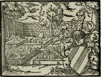 An illustration from Emblemata physico-ethica, hoc est, Naturae morum moderatricis picta praecepta : à Nicolao Taurello Montbelgardensi ... observata, & vario conscripta carmine (1602)