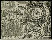 An illustration from Emblemata physico-ethica, hoc est, Naturae morum moderatricis picta praecepta : à Nicolao Taurello Montbelgardensi ... observata, & vario conscripta carmine (1602)
